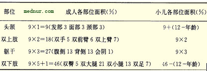 烧伤面积估算