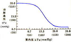 窦内压与动脉血压的关系