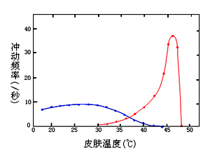 冷热感受器通过神经纤维的放电频率