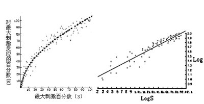 猫感觉纤维（触觉）上的放电频率