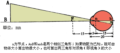  简化眼及其成像情况