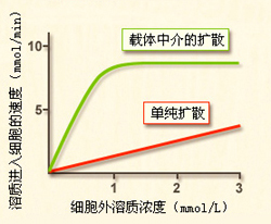 以载体为中介的易化扩散